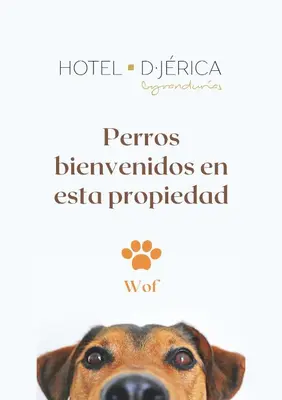 a dog is looking up at the camera at Hotel De Jerica in Jérica
