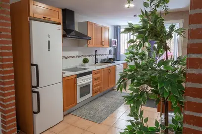 a kitchen with a white refrigerator and a plant at Artsy Large Getaway - 2 Bedroom w HUGE patio - Great for families and Digital Nomads in Valencia