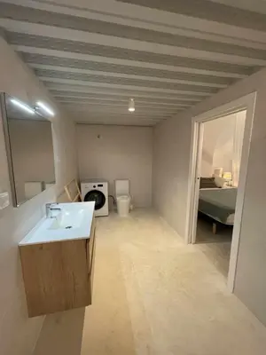 a bathroom with a sink and a toilet in a room at Maravilloso Loft junto a Ciudad de Artes y Ciencia in Valencia