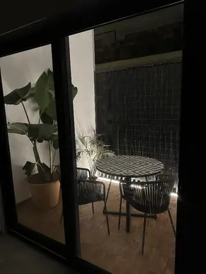 a patio with a table and chairs and a potted plant at Exclusivo Loft con terraza en Ciudad Artes y Cienc in Valencia