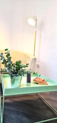 a green coffee table with two potted plants on it at Dionis Silence in Valencia