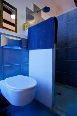 a blue bathroom with a toilet and a shower at TYNE ARTIS HOUSE in Valencia