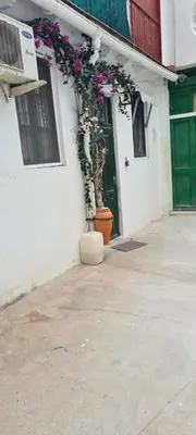 a building with a potted plant next to a door at TYNE ARTIS HOUSE in Valencia