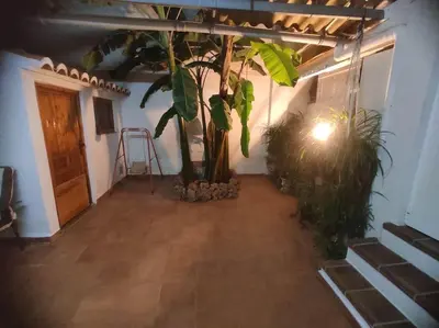a room with a hallway with a tree and a ladder at Encantadora casa de pueblo in Sagunto