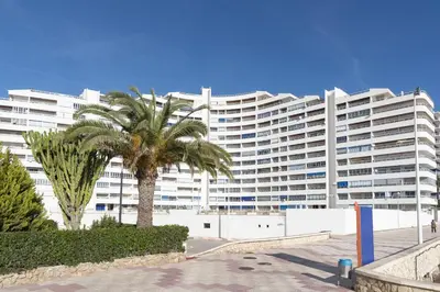 a large white building with a palm tree in front of it at Prado, A-5-52 PK INT 85 in Cullera