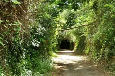 a dirt road through a tunnel in a forest at Precioso apartamento en altura in Altura