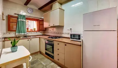 a kitchen with a white refrigerator and a microwave at Casa rural la balsa in Anna