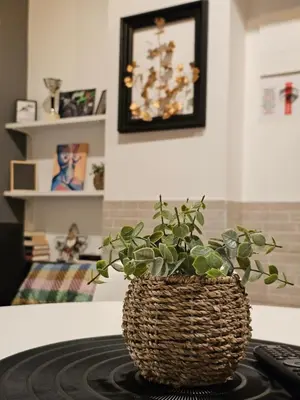 a potted plant sitting on top of a table at Hlius Brand New Apartments in Valencia