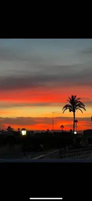 a sunset with a palm tree and a sunset at A 50 m de la plage in Cullera