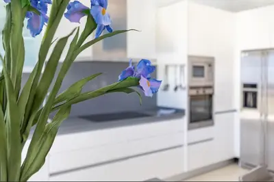 a vase with blue flowers in a kitchen at luxury sea view apartment with 2 rooms in Valencia