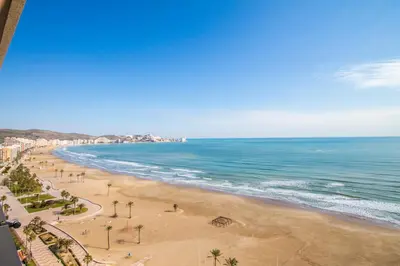 a view of a beach with palm trees and the ocean at ESPACIO 18 - Primera Línea de Playa in Cullera