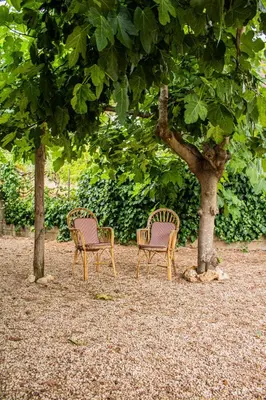 three chairs sitting in front of a tree at Casa Mas Montañas in Godelleta