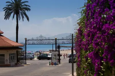 a view of a beach with a parking lot and purple flowers at Cullera Beach Apartment Cap Blanc in Cullera