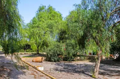 a horse laying on the ground next to trees at Huerto Valenciano - Sol y Tranquilidad - Piscina in Valencia