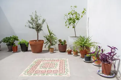 a group of potted plants sitting on a table at Maritime House Valencia Beach in Valencia