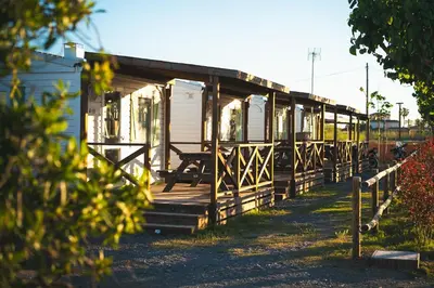 a row of modular homes on a wooden deck at HolaCamp Chilches in Xilxes