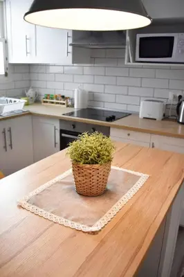 a potted plant sitting on top of a kitchen counter at Departamento céntrico para disfrutar en familia in Sagunto