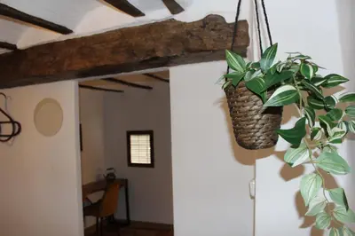 a plant in a hanging basket on a wall at Alojamiento turistico LaVid in Requena