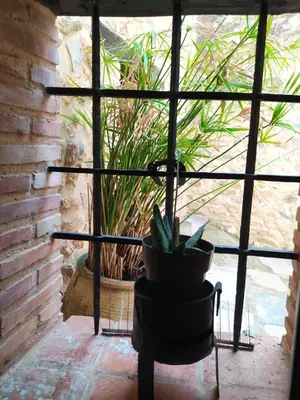 a potted plant sitting on a table in front of a window at Casa Rural Mirador de la Torre in Alcublas