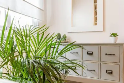 a bathroom with white cabinets and a green plant at Gran Vía by District Key in Valencia