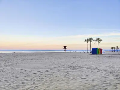 a beach with palm trees and buildings on it at Sea view apartment in Cullera