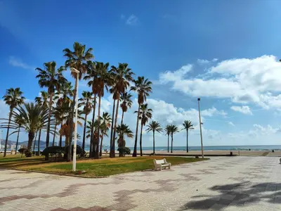 a park with palm trees and a bench on the beach at Sea view apartment in Cullera