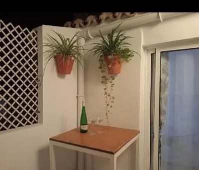 a table with a bottle of wine and two potted plants at Loft B El Ramellet in Alginet