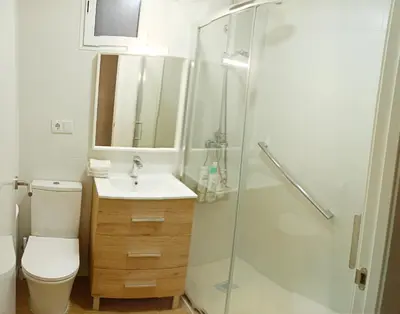 a bathroom with a shower and a toilet and a sink at Vistas a las palmeras in Burjasot